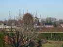 The Netherlands - windmill